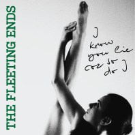 TheFleetingEnds_cover